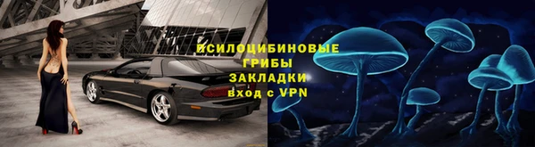 прущая мука Алзамай