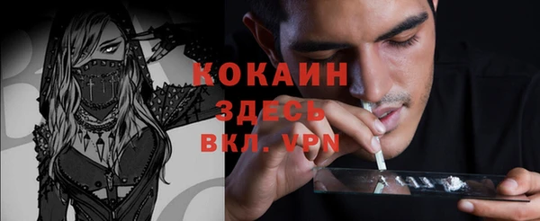 прущая мука Алзамай