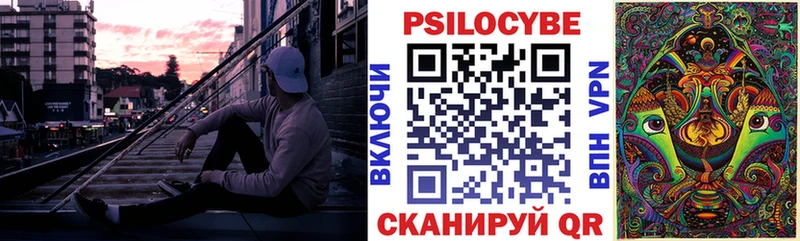 площадка как зайти где купить наркотик Игра Псилоцибиновые грибы Cubensis